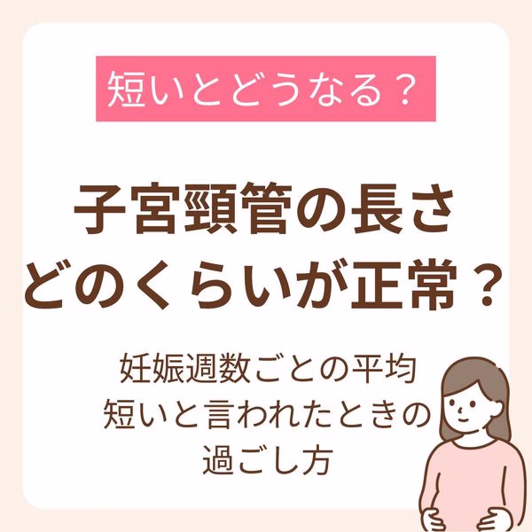 妊娠週数ごとの平均と短いと言われたときの過ごし方