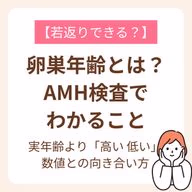 AMH検査の数値との向き合い方