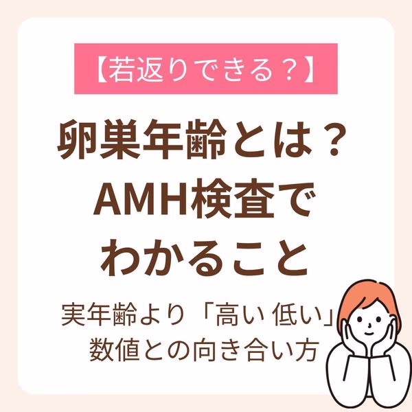 AMH検査の数値との向き合い方
