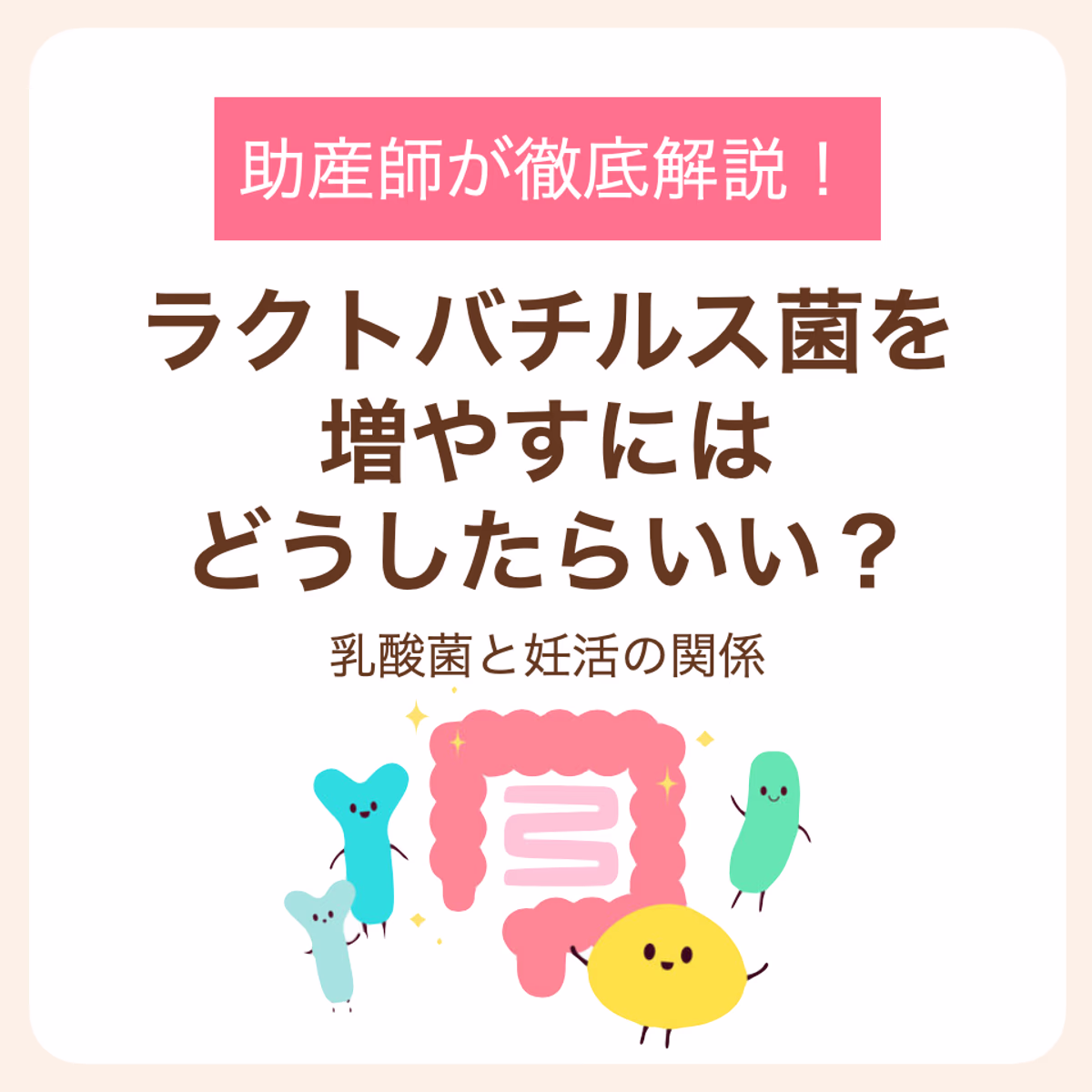 乳酸菌と妊活の関係を助産師が徹底解説！
