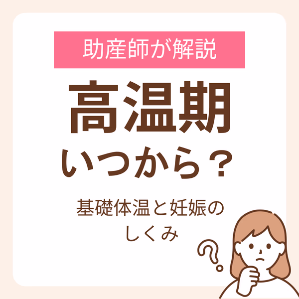 高温期いつから?助産師が解説する基礎体温と妊娠のしくみ