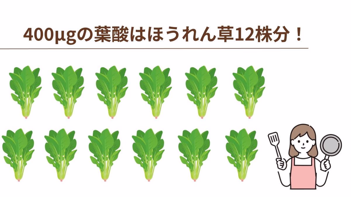 妊娠中に必要な葉酸の量は