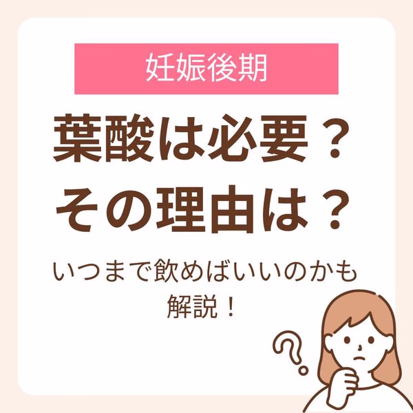 妊娠後期も葉酸は必要。胎盤関連産科合併症の予防や、母体の貧血予防、胎児の成長には欠かせません。