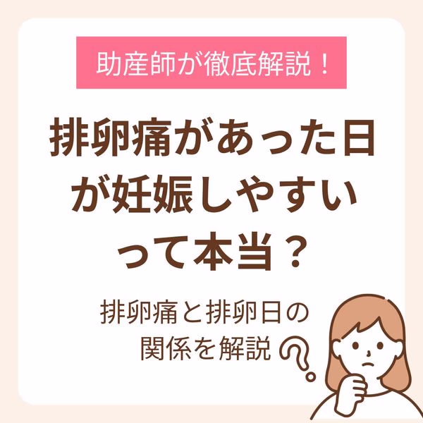 排卵痛があった日が妊娠しやすいって本当?排卵痛と排卵費の関係を助産師が徹底解説