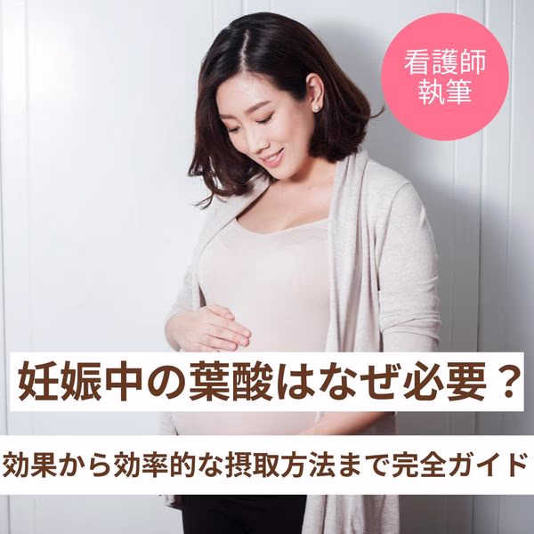 効果から効率的な摂取方法まで完全ガイド