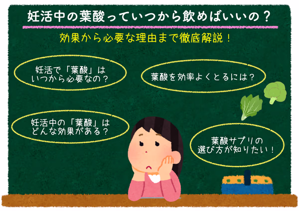 妊活中の葉酸の効果から必要な理由について徹底解説