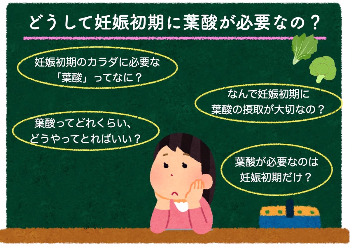 妊娠初期に葉酸が必要な理由についてのイラスト