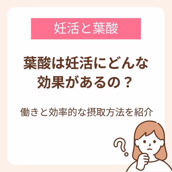 葉酸を摂取することで妊活にどんな効果を期待できるのか、葉酸の働きや効率よく摂取する方法と合わせてご紹介します。
