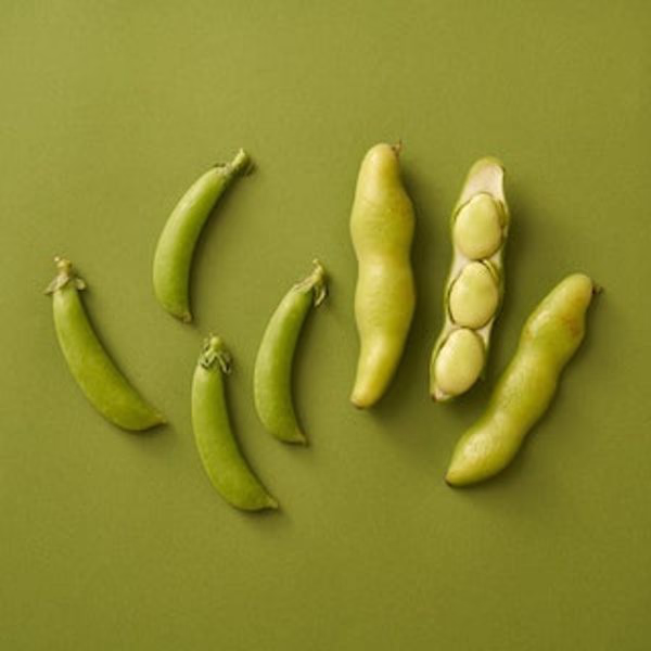 枝豆が6個あります。