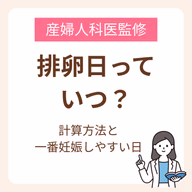 排卵日っていつ？計算方法と一番妊娠しやすい日をどこよりもわかりやすく解説