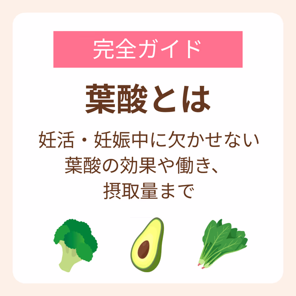葉酸とは?効果や働き、摂取量まで妊活・妊娠中に欠かせない栄養素を完全ガイド!