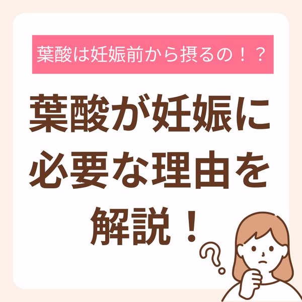 葉酸が妊娠に必要な理由の解説イラスト