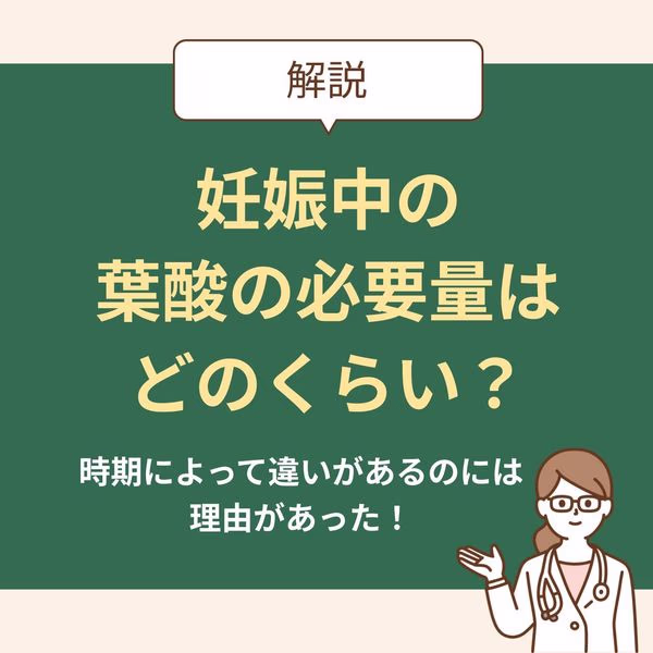 なぜ葉酸は時期によって違いがあるのか