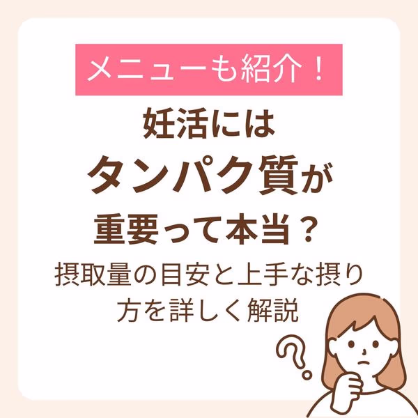 妊活期にも大切なタンパク質の目安や食品量が見えてくる