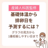 基礎体温グラフから排卵日を予測し、1番妊娠しやすい日を見極めるポイント