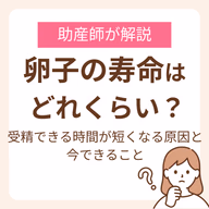 卵子の寿命はどれくらい?受精できる時間が短くなる原因と今できることを助産師が解説
