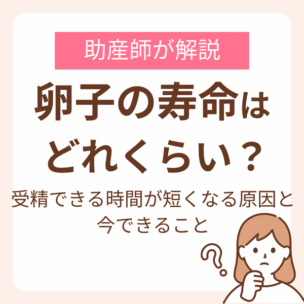 卵子の寿命はどれくらい?受精できる時間が短くなる原因と今できることを助産師が解説