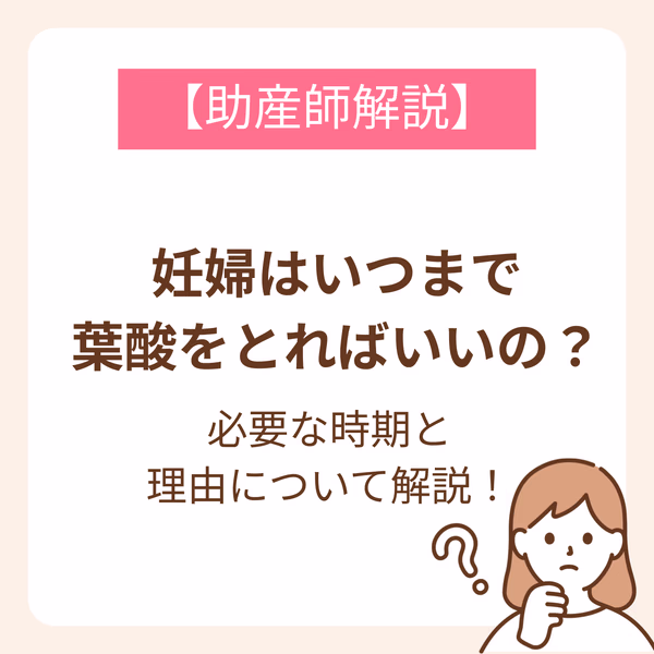 葉酸の摂取が必要な時期と理由を解説
