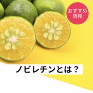 ノビレチンはシークワーサーに多く含まれており、認知症やメタボリックシンドロームを予防する効果があります。