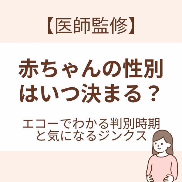 エコーでわかる判別時期と気になるジンクス