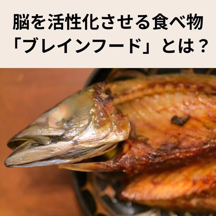 脳を活性化させる食べ物「ブレインフード」とは？種類や効果、食べ方のポイントまで解説