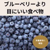 【栄養素別】ブルーベリーより目にいい食べ物を詳しく解説!