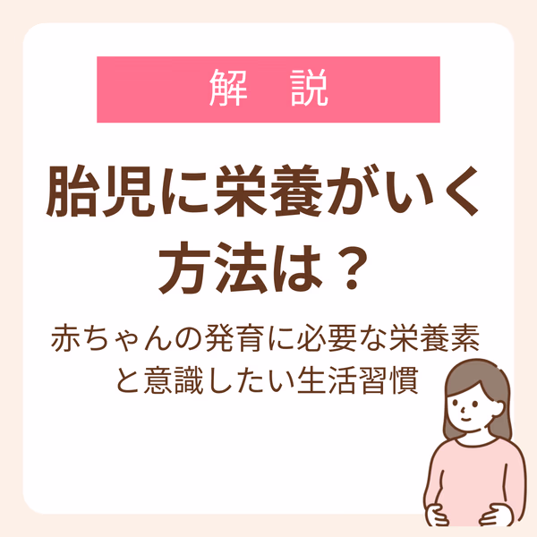 胎児に栄養がいく方法は?赤ちゃんの発育に必要な栄養素と意識したい生活習慣