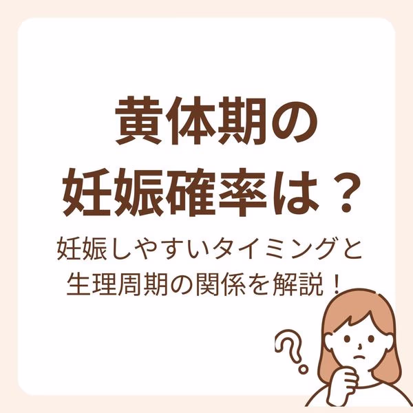 黄体期の妊娠確率は?妊娠しやすいタイミングと生理周期の関係を解説!