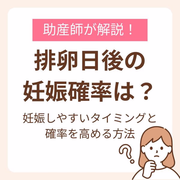 排卵日後の妊娠確率や確率を高める方法、妊娠しやすいタイミングを紹介