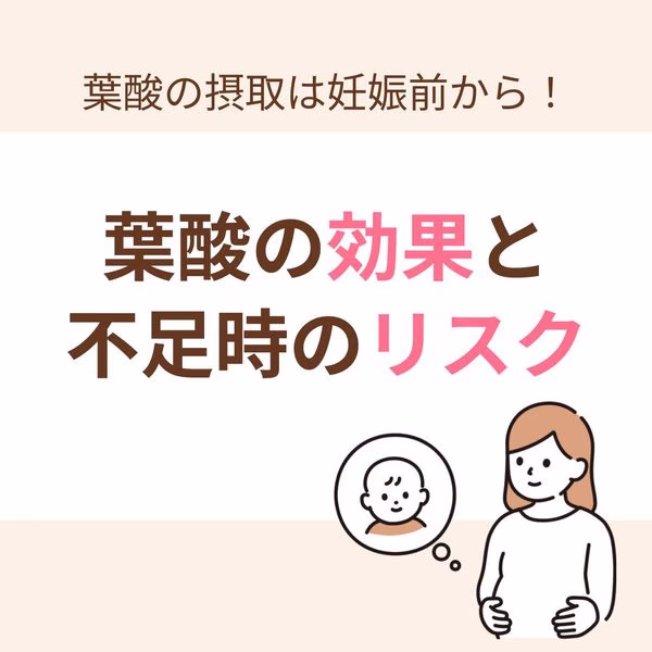 葉酸の効果と不足時のリスク