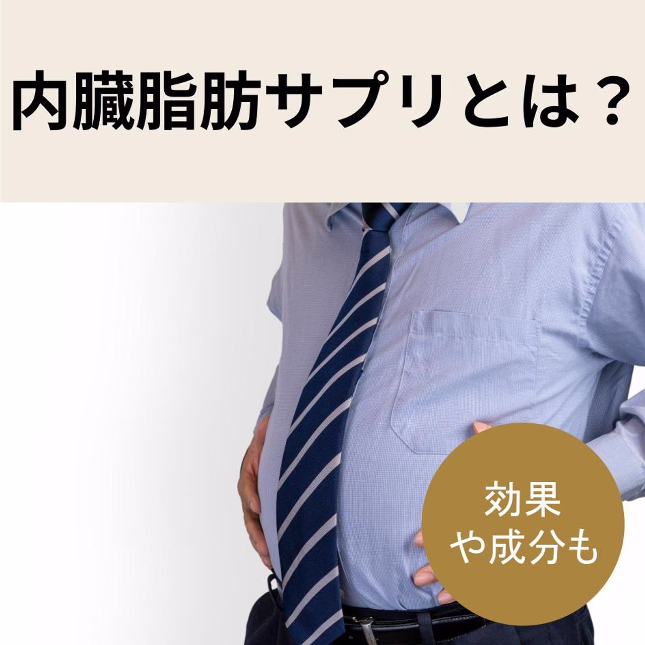 内臓脂肪サプリについて解説。期待できる効果や成分、選び方まで徹底解説します。