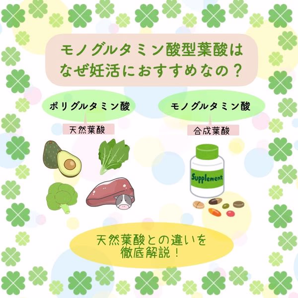 天然葉酸との違いを徹底解説!